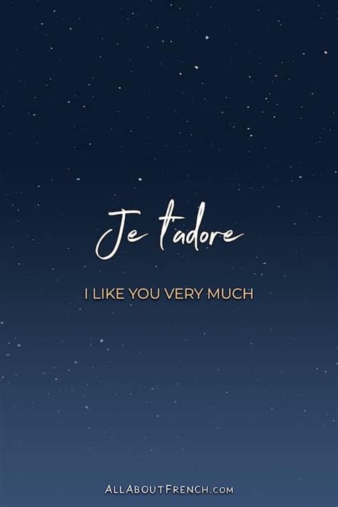 j adore meaning|je t'adore in english.